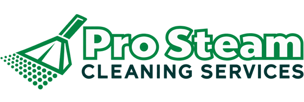 Pro Steam Cleaning Services