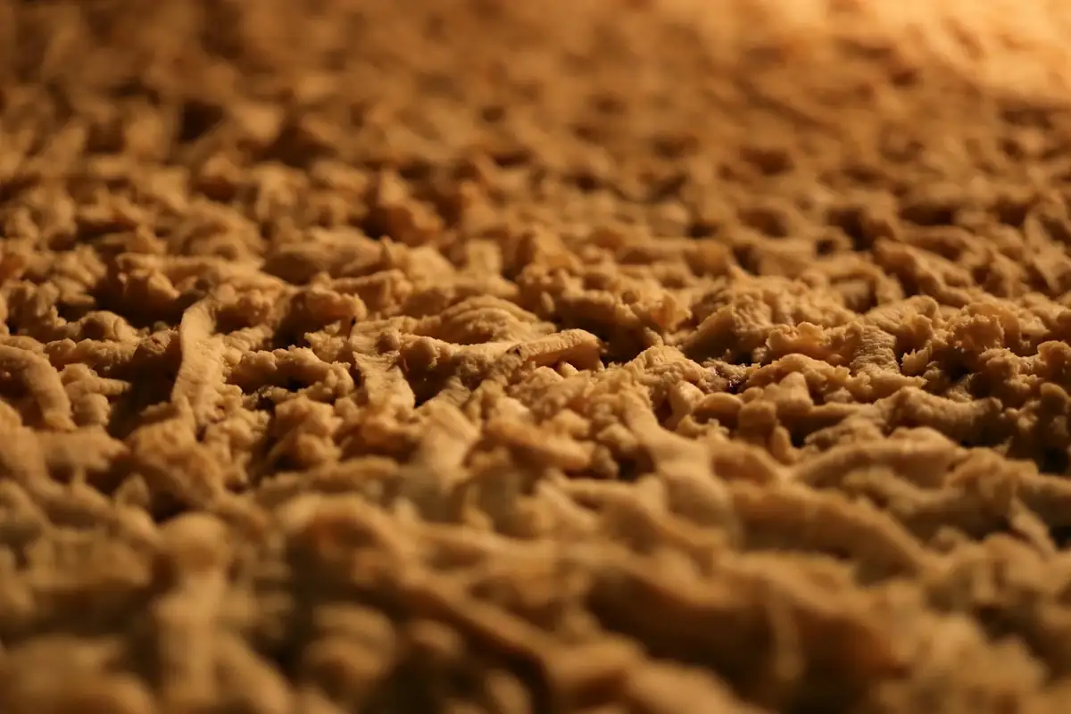 How Torn Carpet Repair Works
