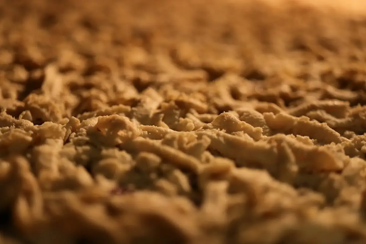 How Burn Mark Carpet Repair Works