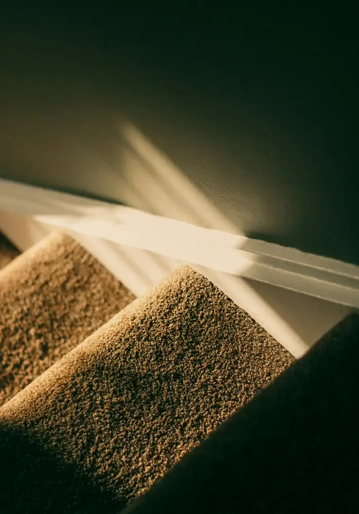Professional Carpet Patching for Your Property