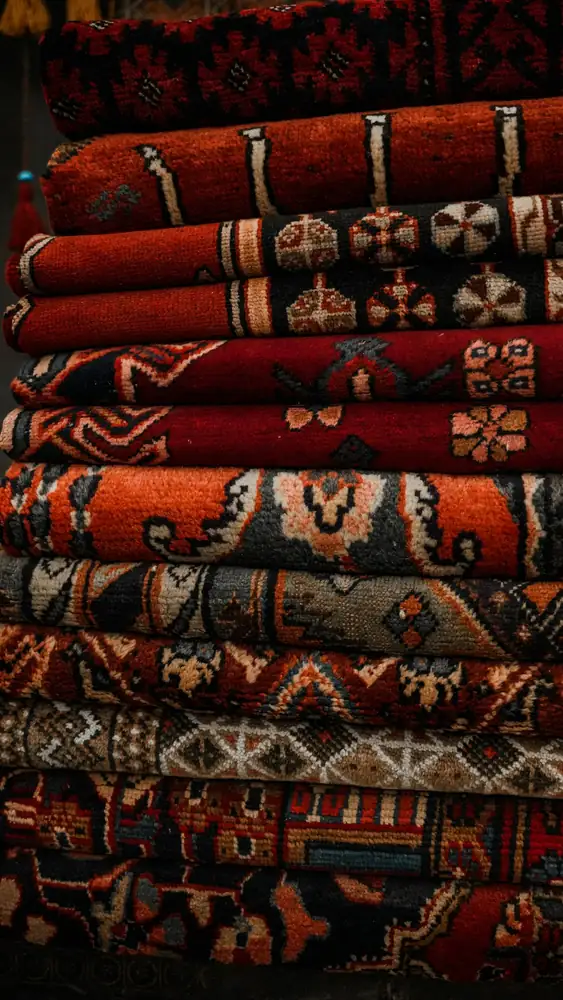Professional Rug Steam Cleaning for Your Property