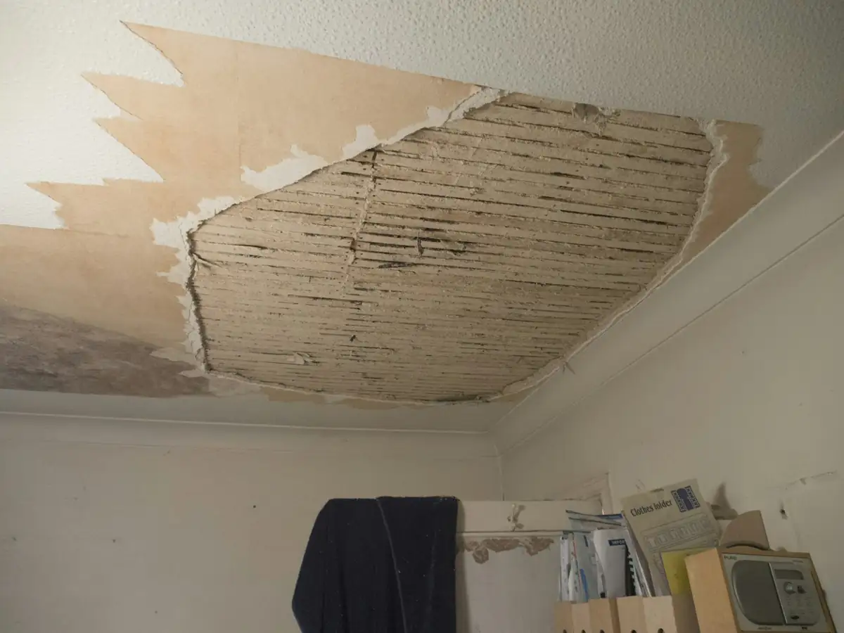 Professional Carpet Drying for Your Property