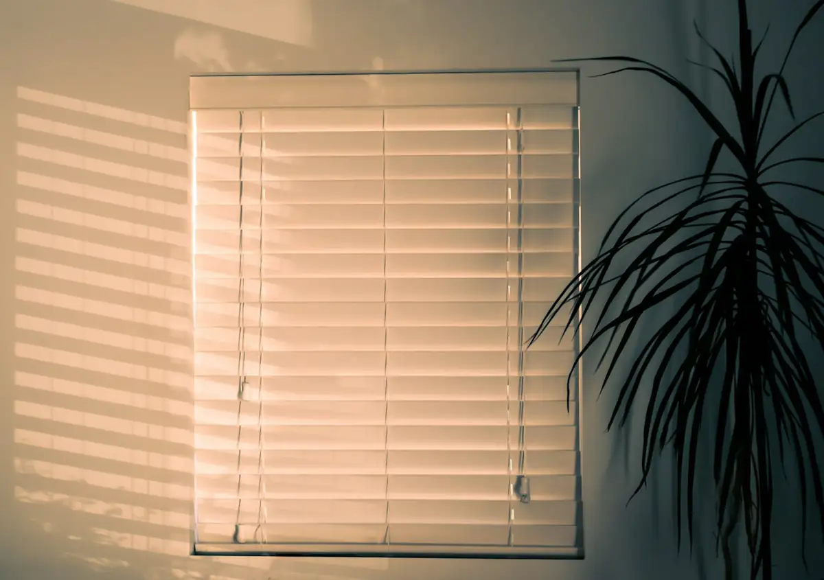 white-blind-with-plant.webp